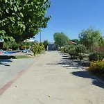 Dora