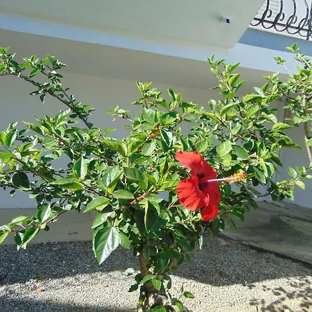 Villa Dora Faliraki